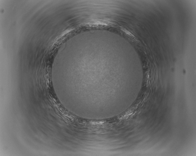 X0000054410870200508011319