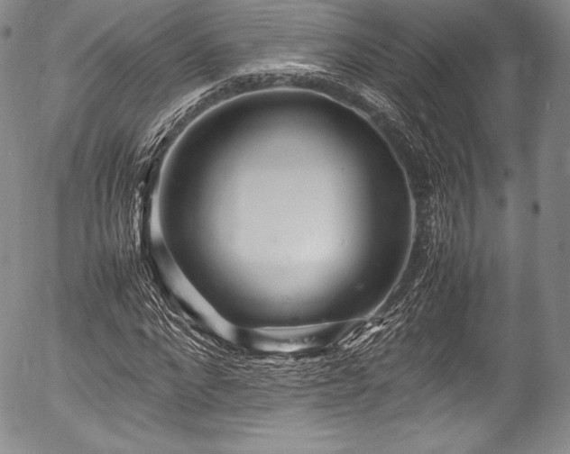 X0000054410872200508011319