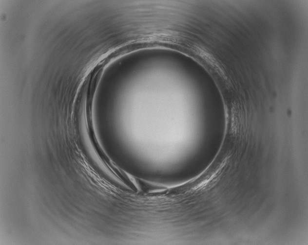 X0000054410876200508011319