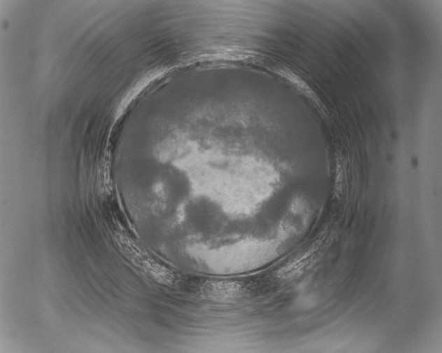 X0000054410878200508011319