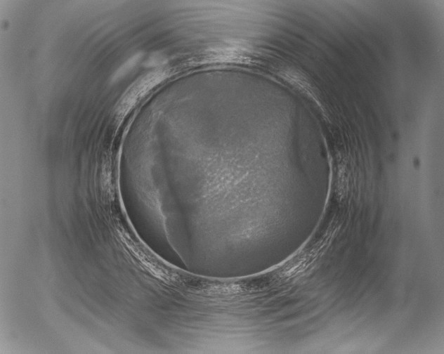 X0000054410882200508011319