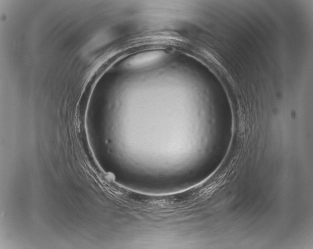 X0000054410883200508011319