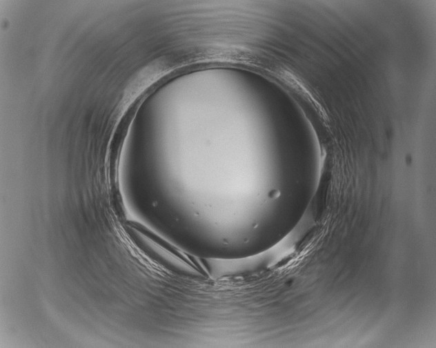 X0000054410884200508011319
