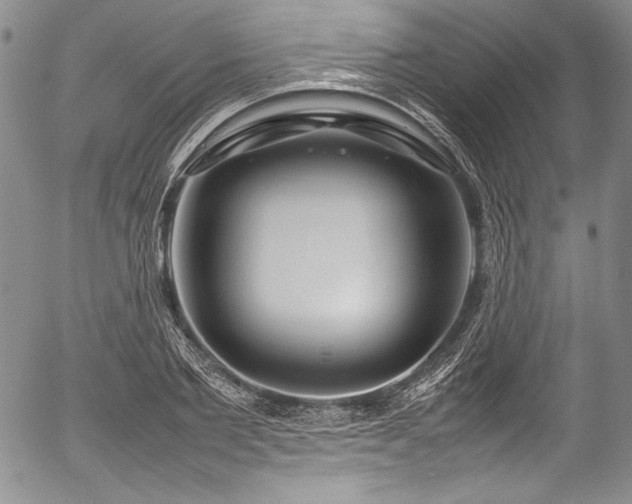 X0000054410885200508011319