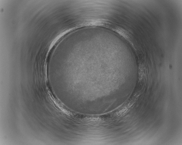 X0000054410886200508011319