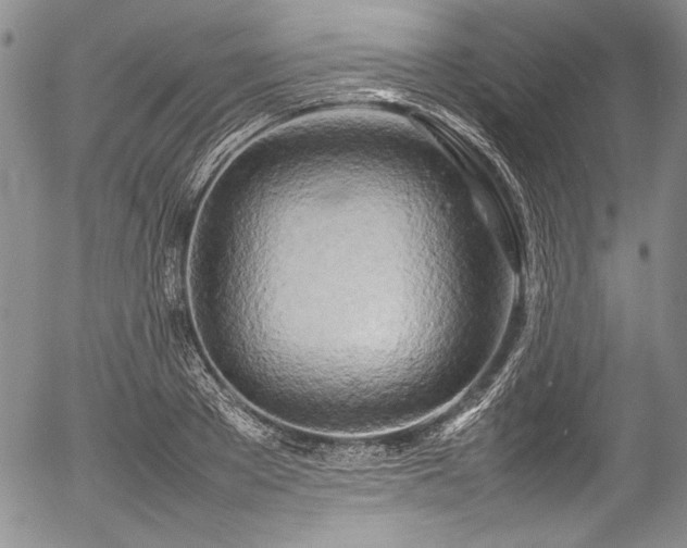 X0000054410889200508011319