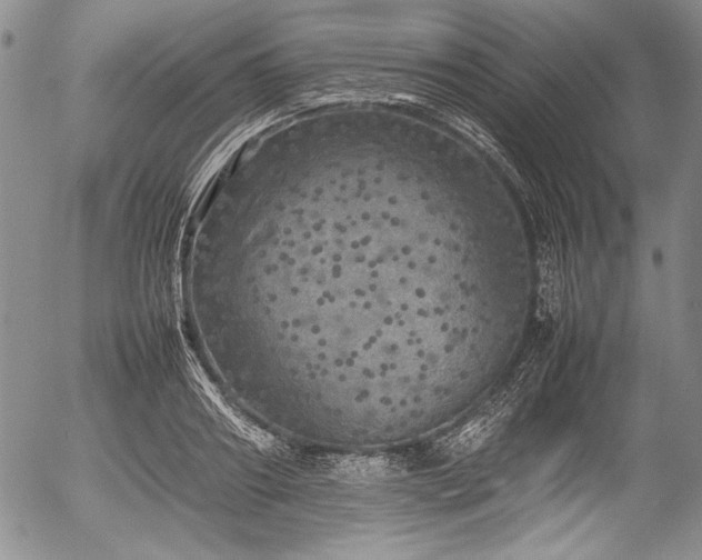 X0000054410890200508011319