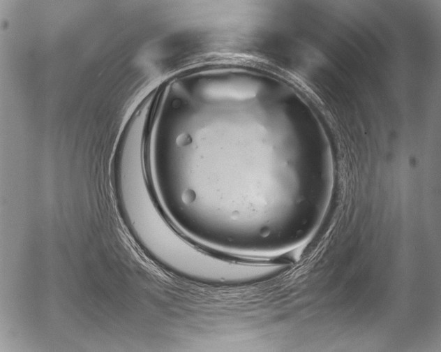 X0000054410891200508011319