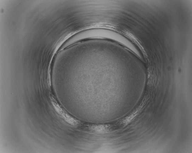 X0000054410892200508011319