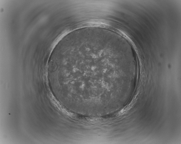 X0000054410899200508011319