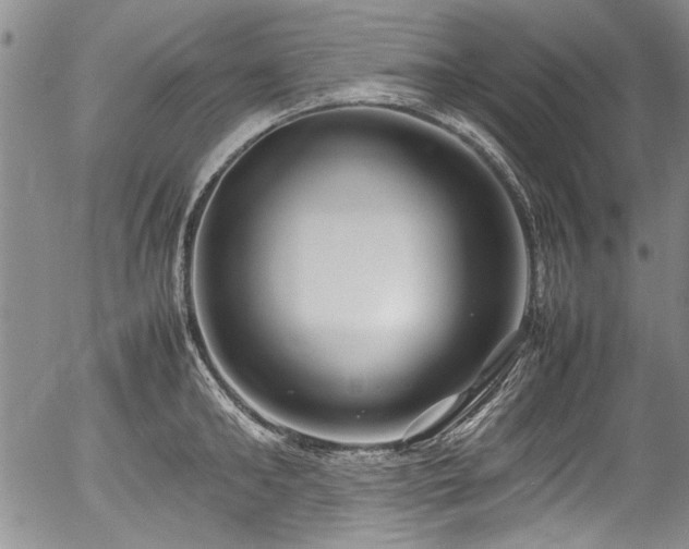 X0000054410902200508011319