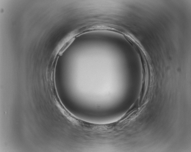 X0000054410909200508011319