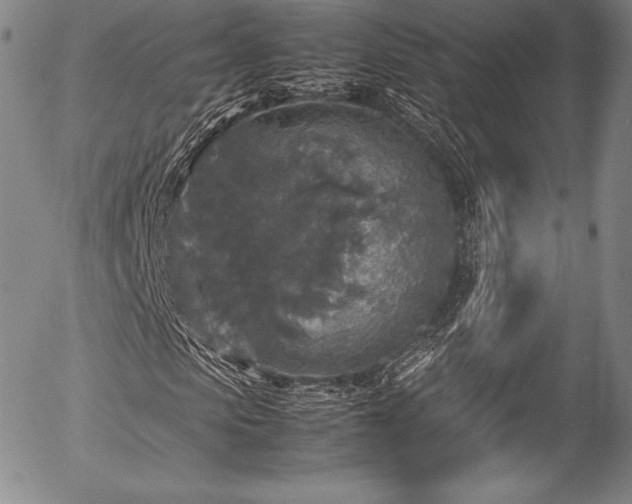 X0000054410913200508011318