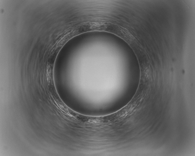 X0000054410914200508011318