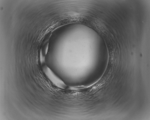 X0000054410916200508011318