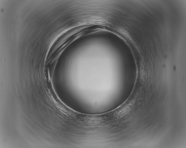 X0000054410924200508011318