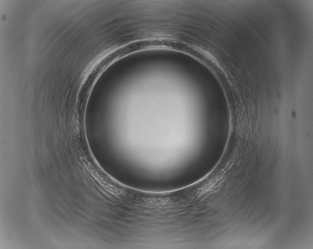 X0000054410927200508011318