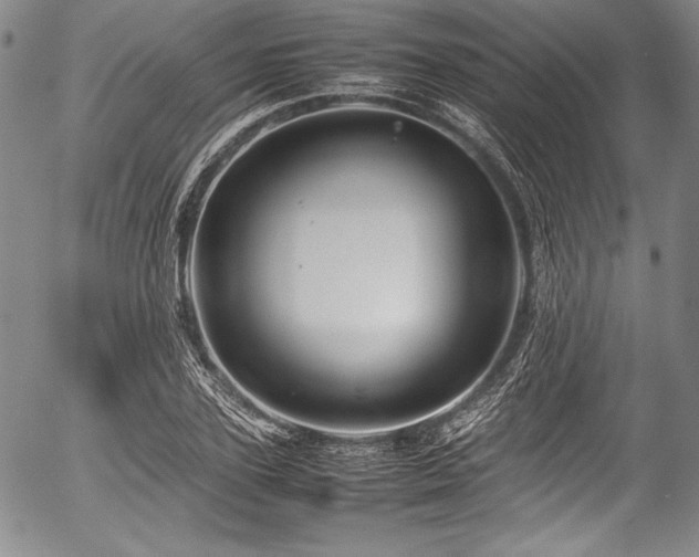 X0000054410931200508011318