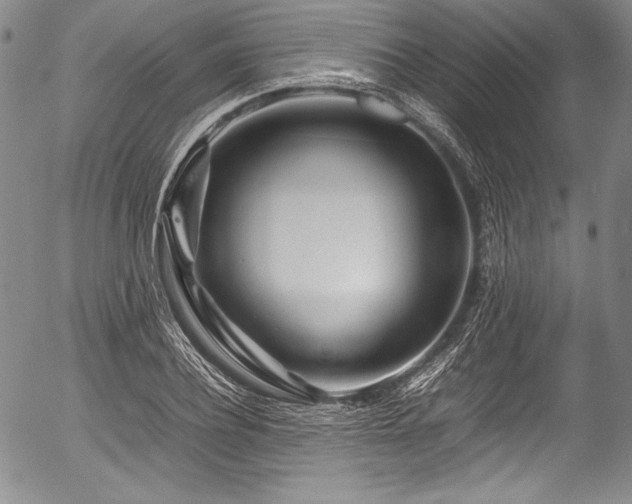 X0000054410932200508011318