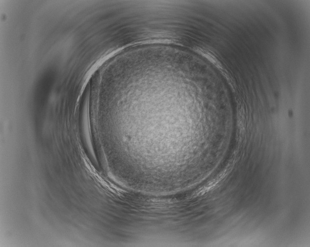 X0000054410933200508011318
