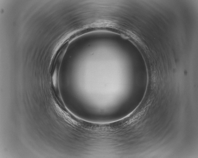 X0000054410934200508011318