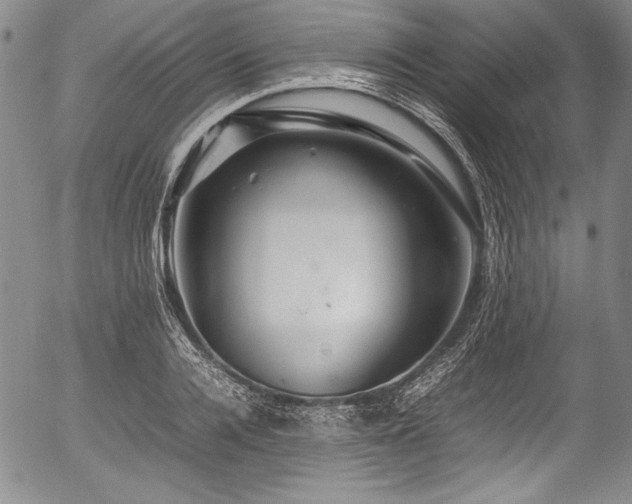 X0000054410936200508011318