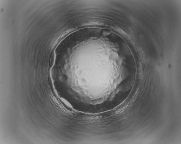 X0000054410937200508011318