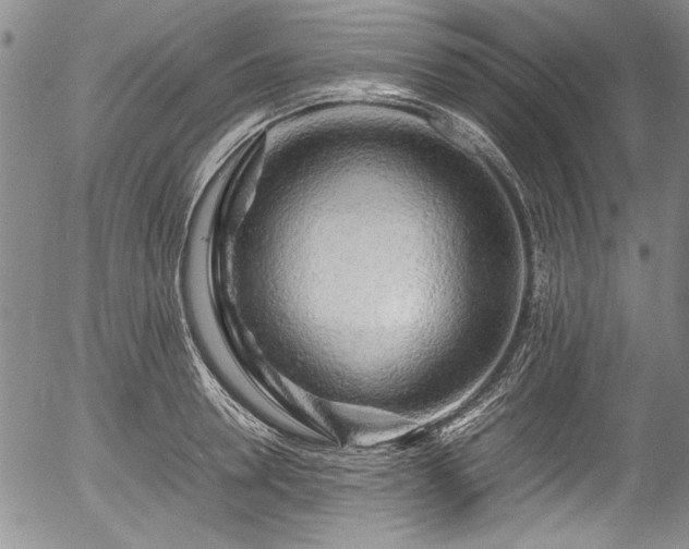 X0000054410946200508011318