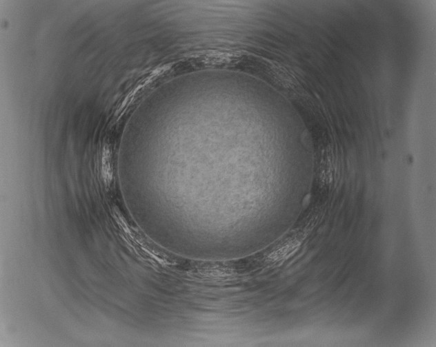 X0000054410962200508011318