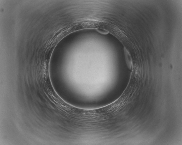 X0000054410964200508011318