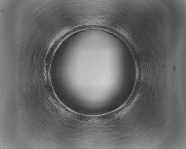 X0000054410974200508011317