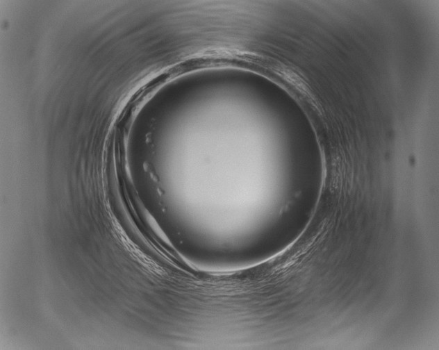 X0000054410976200508011317