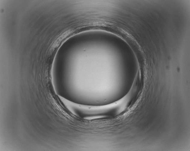 X0000054410977200508011317