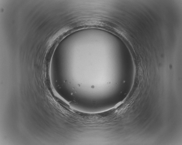 X0000054410979200508011317