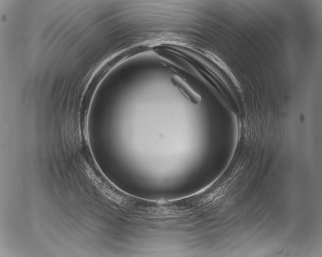 X0000054410980200508011317