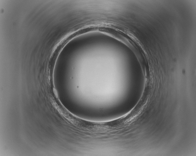 X0000054410981200508011317