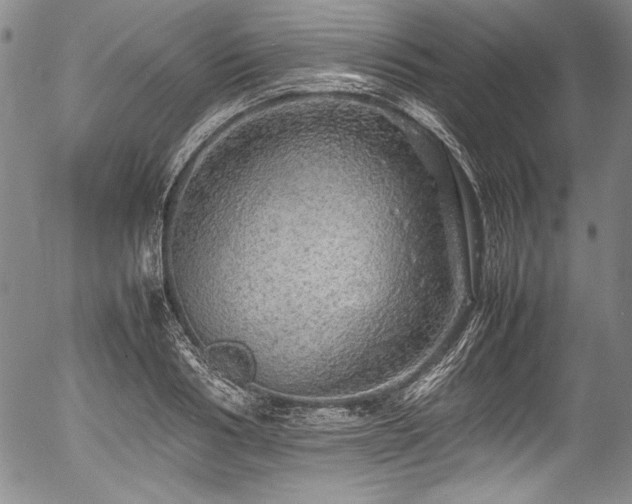 X0000054410986200508011317