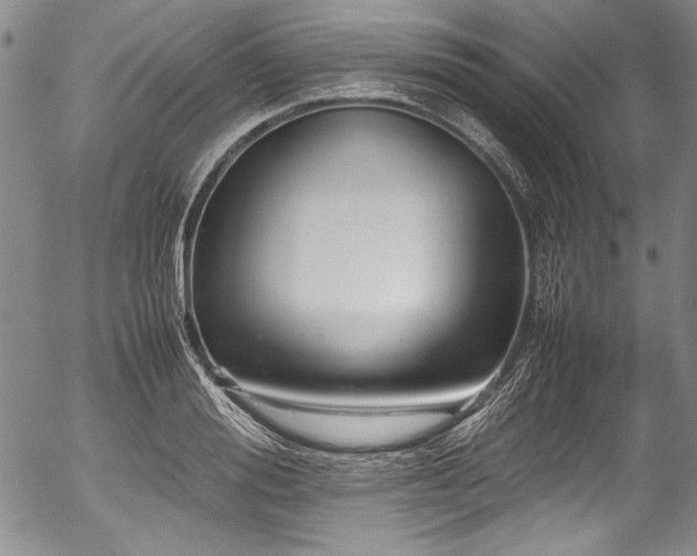 X0000054410988200508011317
