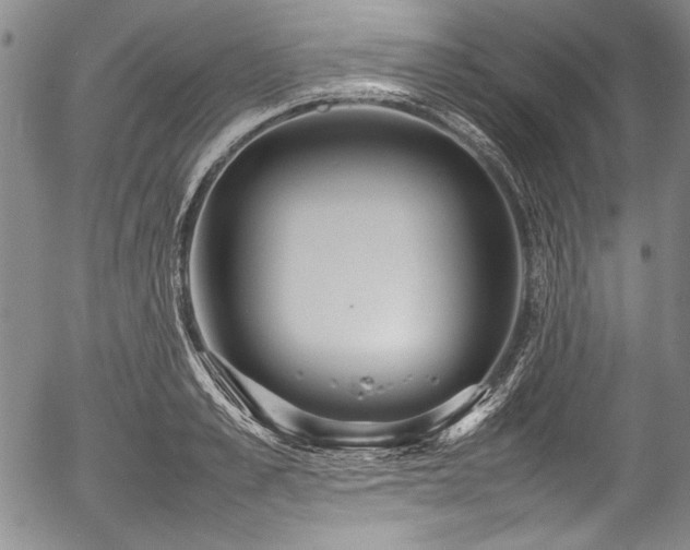 X0000054410989200508011317