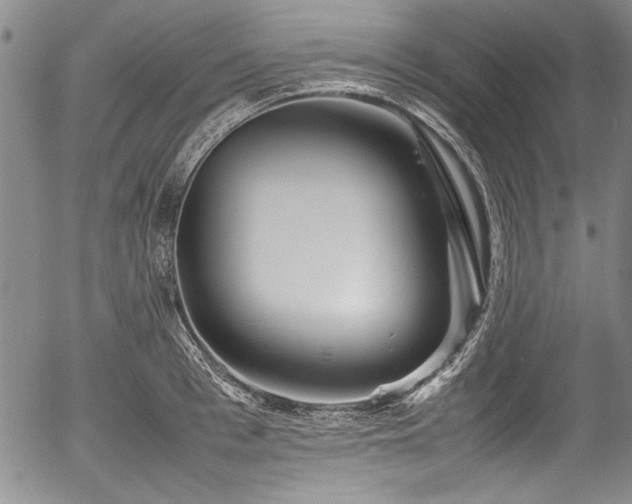 X0000054410993200508011317
