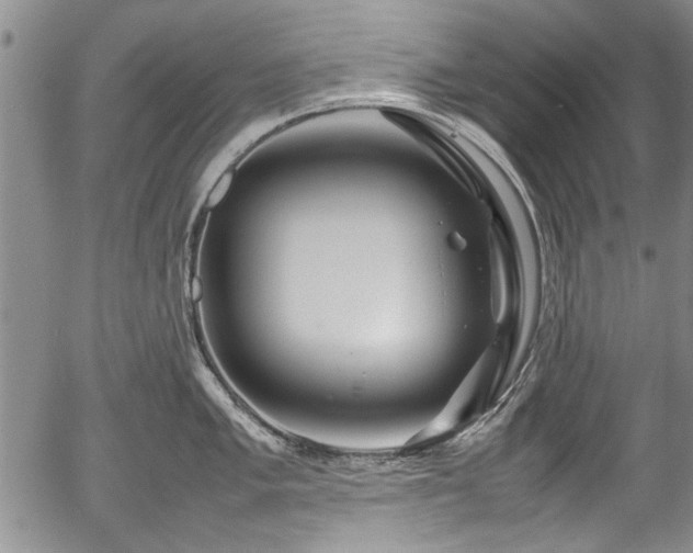X0000054411005200508011317