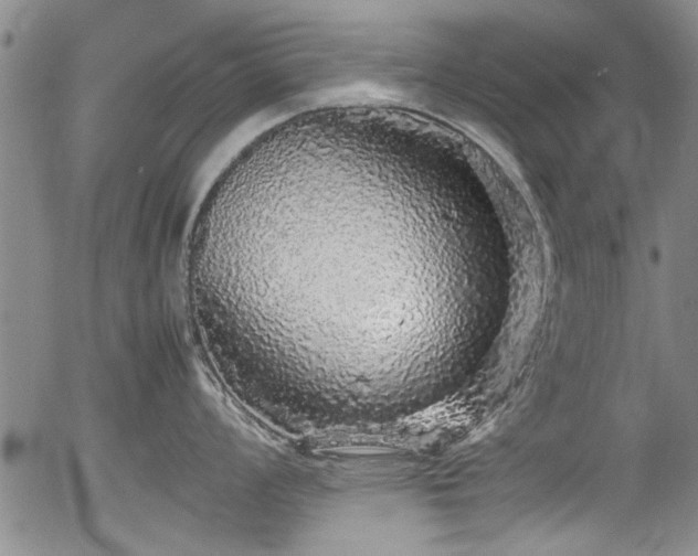 X0000054411008200508011317