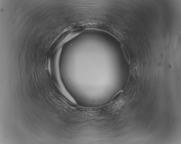 X0000054411010200508011316