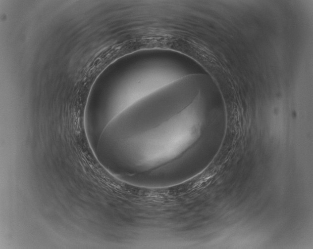 X0000054411013200508011316