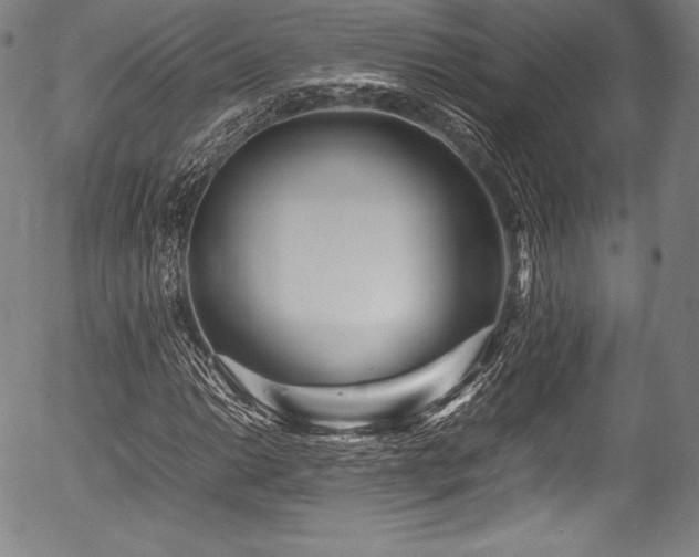 X0000054411014200508011316