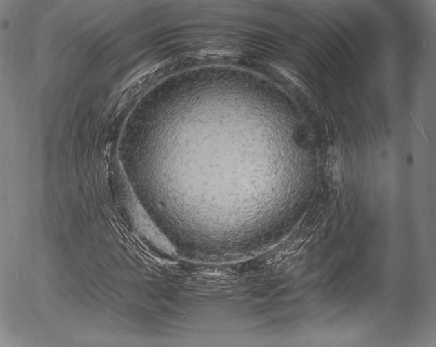 X0000054411015200508011316