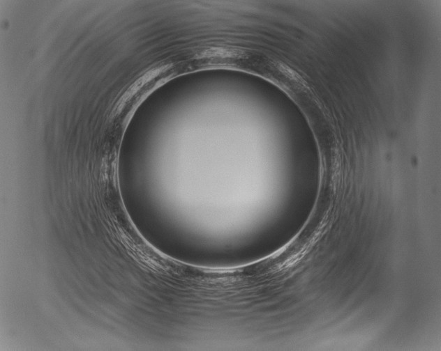 X0000054411017200508011316