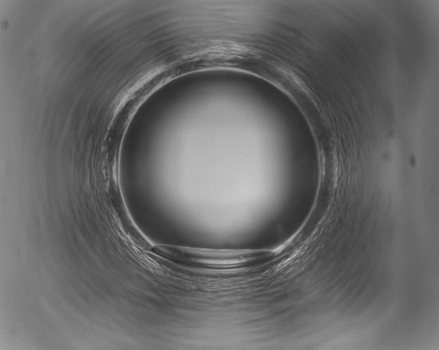 X0000054411018200508011316