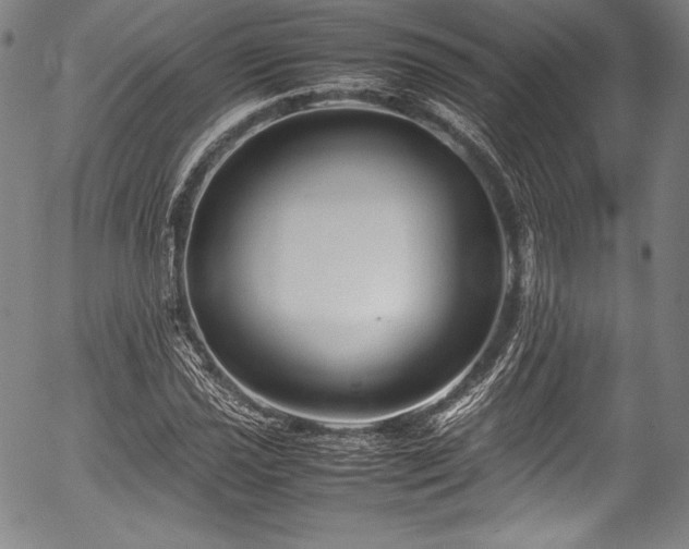 X0000054411021200508011316
