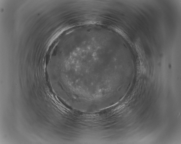 X0000054411023200508011316